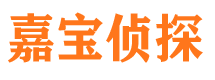 清浦市侦探公司